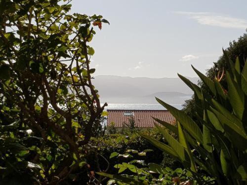 Ajaccio Studio Parc Berthault / Albert 1Er 외부 사진